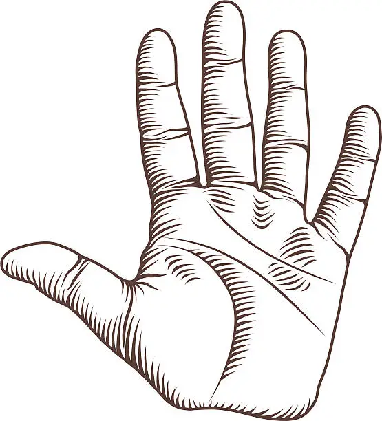 Vector illustration of Engraved Hand