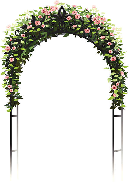 Rose Arbor Soft pink roses growing on a wrought iron trellis or arbor, form a frame with copy space. garden pathway stock illustrations