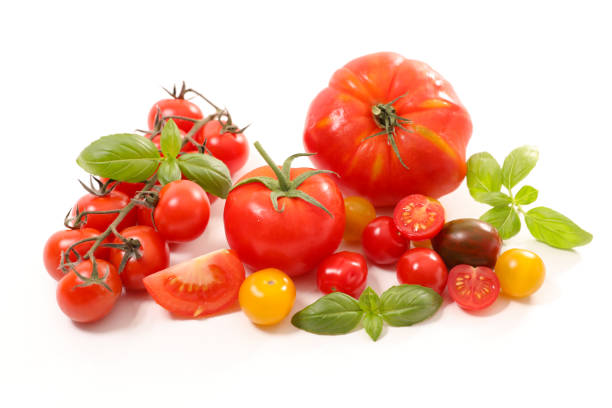istock various colorful tomatoes and basil isolated on white background 1491657346