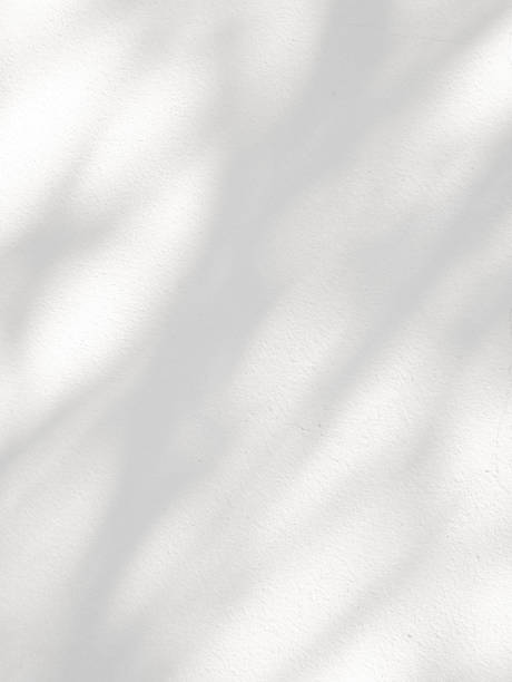 istock Abstract shadow of leaves on a white wall 1491658721