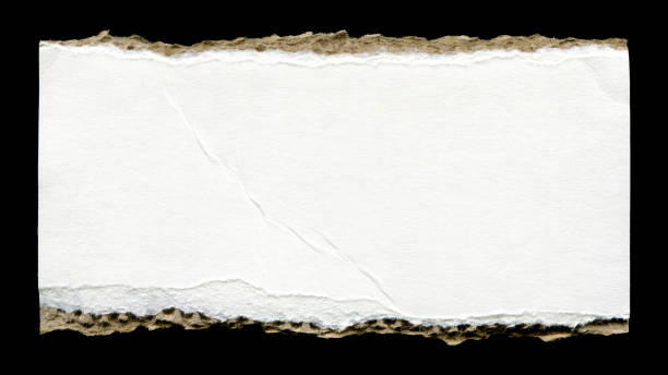 istock Old blank cardboard paper texture background isolated 1491659743