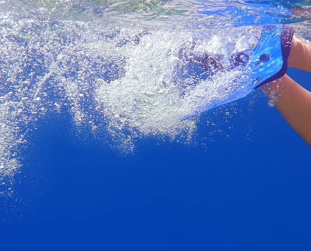 istock Swimming with Fins 149166033