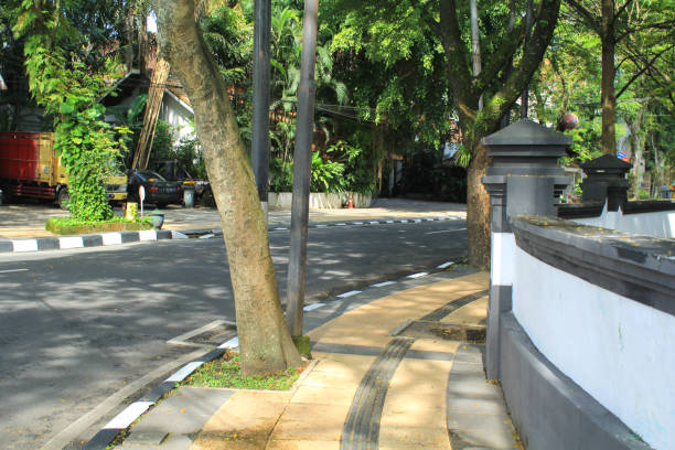 istock an empty side walk and empty street with green trees 1491662447