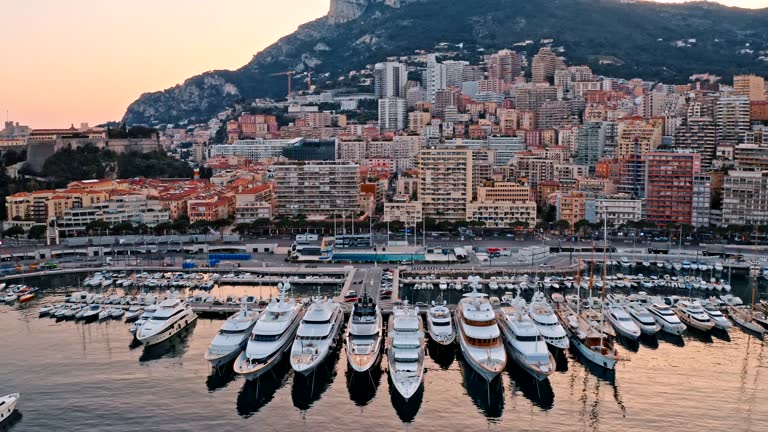 boats docked by the city aerial