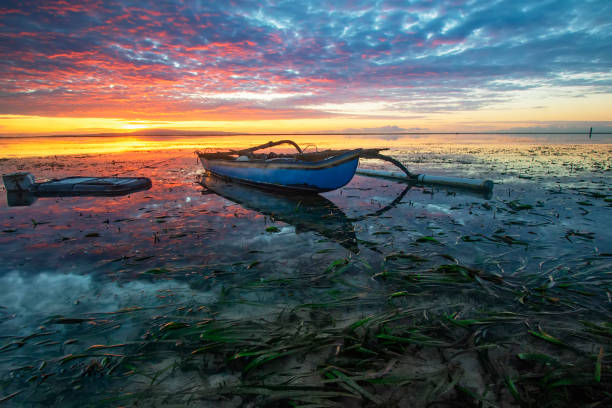 istock Sunrise at Coral Beach Sanur, Bali 1491665242