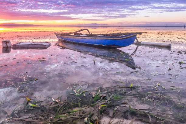 istock Sunrise at Coral Beach Sanur, Bali 1491665377