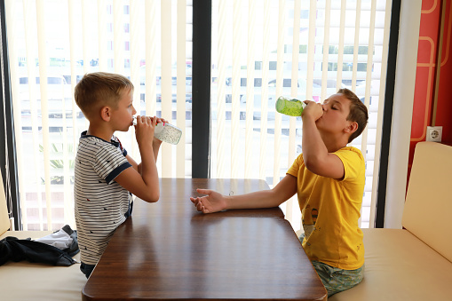 Brothers drinking lemonade from bottles in cafe