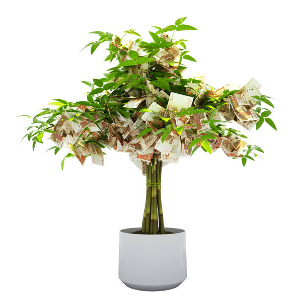 istock Pakistani Rupee tree. 3d rendering of Money on tree isolated on white background. financial growth 1491674670