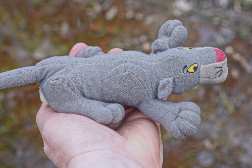 hand holds one small plush gray  dog toy in the street