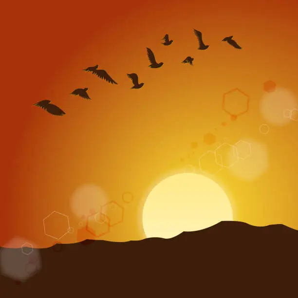 Vector illustration of Doves Flying In Sunset