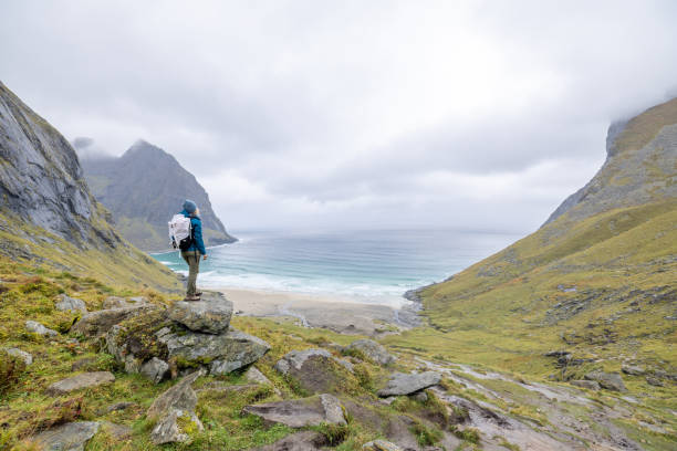 istock Hiker contemplates the beautiful nature in Norway, pristine beach view 1491686484
