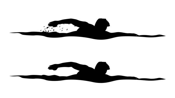 ilustraciones, imágenes clip art, dibujos animados e iconos de stock de siluetas de nadadora sobre blanco - silhouette swimming action adult