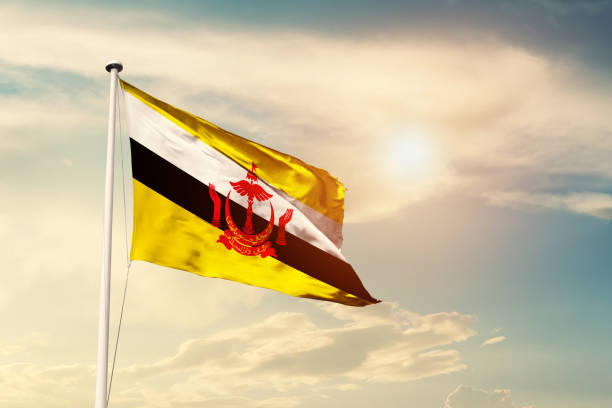 国旗を振るブルネイ - brunei flag ストックフォトと画像