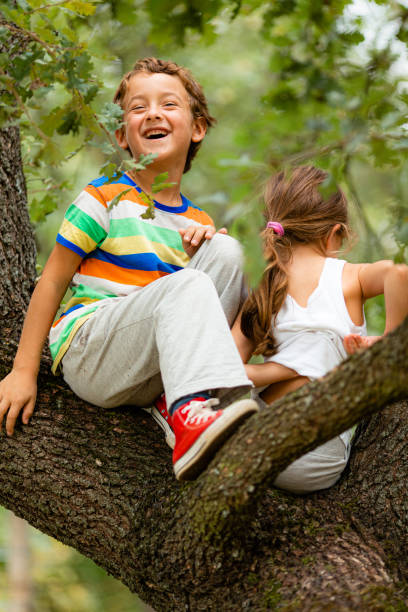 istock Smiling boy sitting on a tree together with his sister 1491699264
