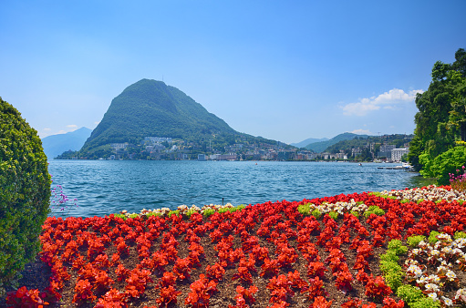 Flowers in botanical park of the city Lugano, Switzerland