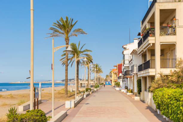Palmtrees and the boulevard at the beach of Comarruga stock photo
