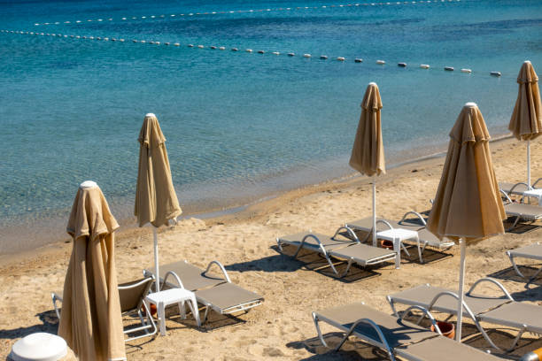 istock Lounge chairs and umbrellas in beach 1491704660