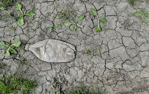 A dry plastic bottle is flattened on the cracked ground. Flattened plastic bottle on dry ground. There is no water, the problem of water shortage in the world.