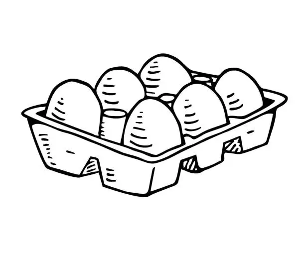 Vector illustration of Hand drawn organic egg pack