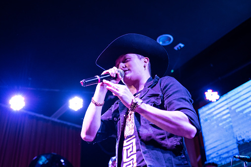 Singer man singing in a music concert