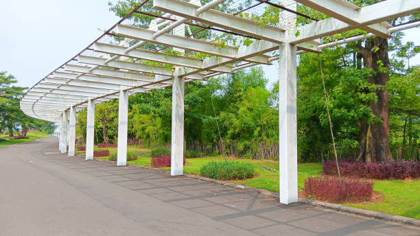istock Landscape of city park 1491723949