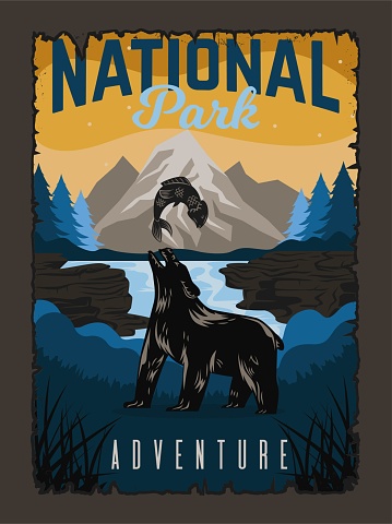 Poster with bear and forest. Night landscape with animal, river or lake and mountains. Grizzly hunts for fish in national park. Predator silhouette in wild habitat. Cartoon flat vector illustration