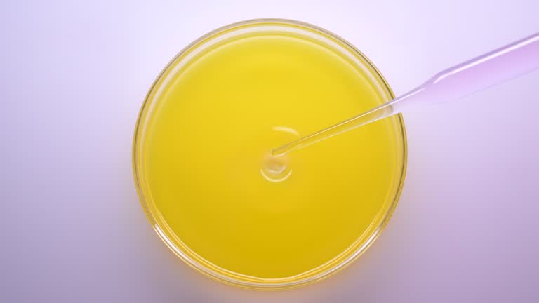 Drop pink liquid solution in yellow petri dish