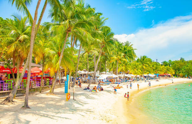 Tropical Palawan beach on Sentosa island, Singapore stock photo