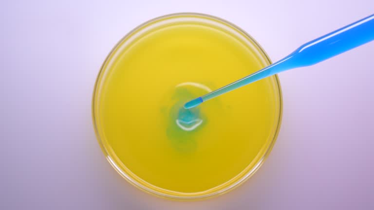 Drop blue liquid solution in yellow petri dish