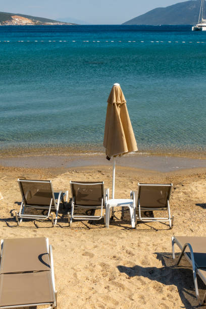 istock Lounge chairs and umbrellas in beach 1491735176