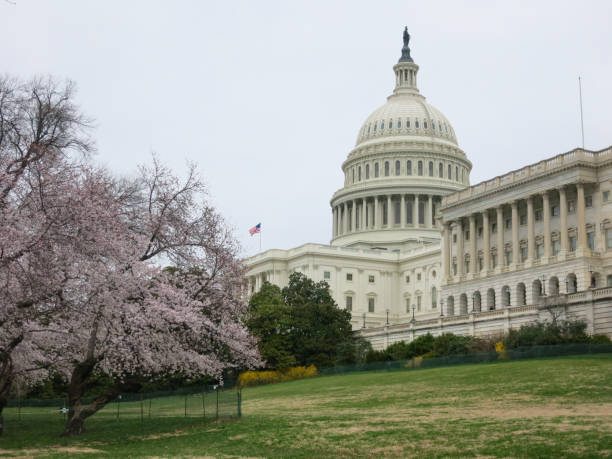 istock Capitol building Washington DC USA 1491739398