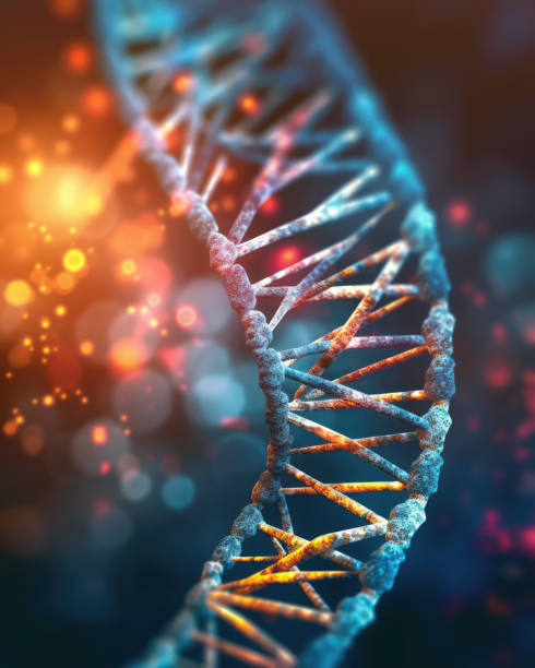 遺伝子コードdnaシーケンシング分子概念 - dna chromosome genetic research genetic mutation ストックフォトと画像