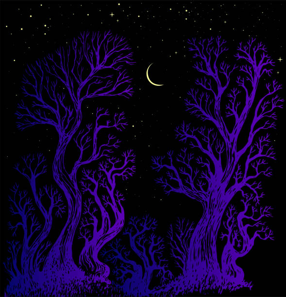 illustrations, cliparts, dessins animés et icônes de illustration surréaliste de la lune de la forêt nocturne et de la fantaisie des étoiles. fond fantastique de forêt enchantée avec des arbres colorés. - 2271