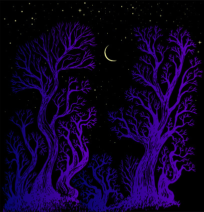 Surreal night sky forest moon and star fantasy illustration. Enchanted forest fantasy background with colorful trees. Decorative vector hand drawn original illustration.