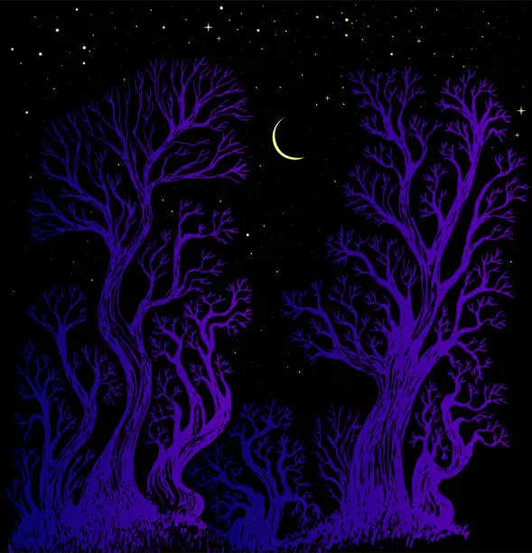 Vector illustration of Surreal night sky forest moon and star fantasy illustration. Enchanted forest fantasy background with colorful trees.
