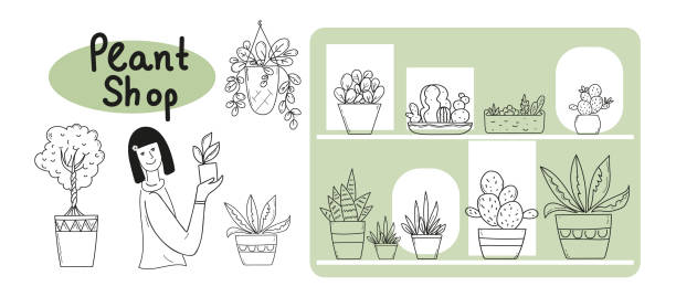 illustrazioni stock, clip art, cartoni animati e icone di tendenza di piante domestiche in un disegno di scarabocchi in bianco e nero in vaso. - florist flower shop store owner