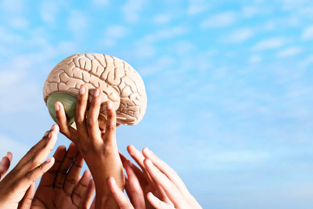 istock Many hands outstretched towards a human brain, against a beautiful summer sky with copy space 1491743224