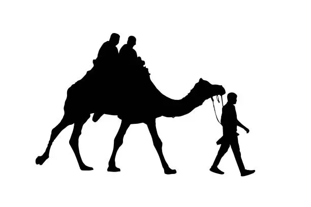 Vector illustration of Silhouette of a Camel and Cameleer. Camel vector illustration. Camel ride.