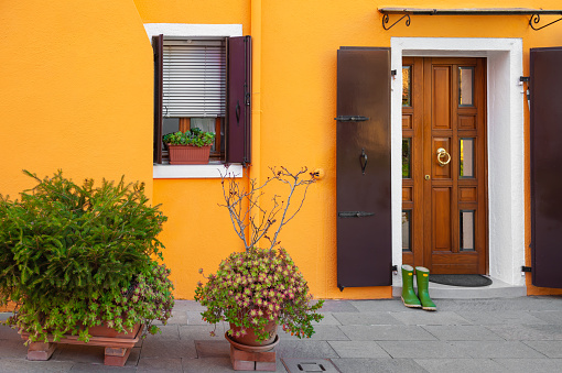 Yellow facade of the house with green flowers. Colorful architecture in Burano, Italy.