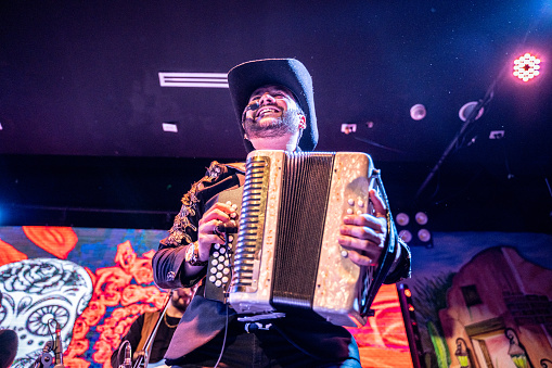 Musician man playing accordion in a music concert