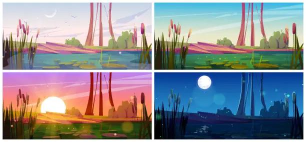 Vector illustration of Green swamp and cattail near lake, full moon night