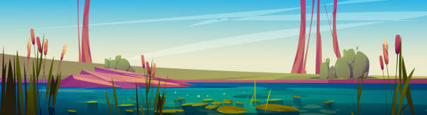 зеленое болото и рогоз у озера, летний день - riverbank marsh water pond stock illustrations