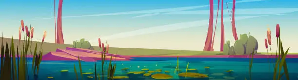 Vector illustration of Green swamp and cattail near lake, summer day