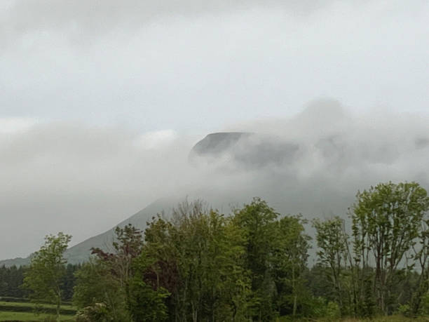 benbulben-berg an einem nebligen abend mit bäumen im vordergrund. grafschaft sligo, irland - sligo stock-fotos und bilder