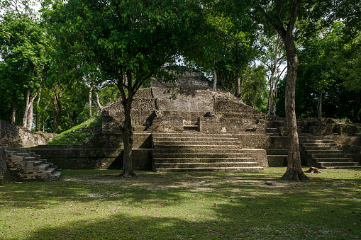 Tropical trees growing on the sunny Maya ruins of 'Cahal Pech' in San Iganacio, Belize