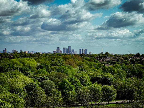 istock Cityscape rising above the trees 1491756981