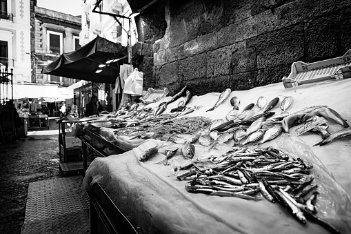 Close-up of fishes in the fish market of Catania