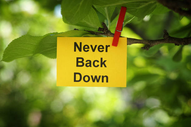 istock A yellow paper note with the phrase Never Back Down on it attached to a tree branch with a clothes pin 1491760649