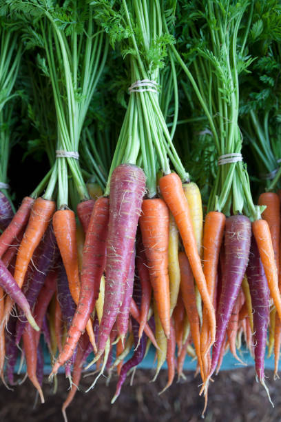 Rainbow carrots at a farmer's market