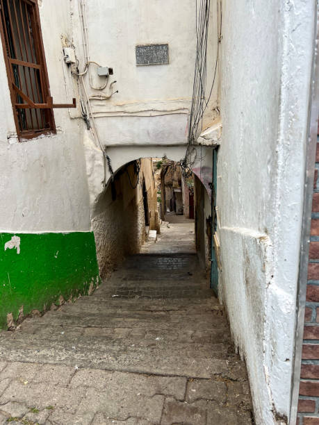 istock Narrow streets in Casbah of Algiers 1491773619